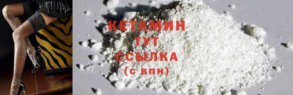 сатива Няндома