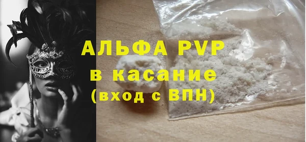 прущие грибы Новозыбков