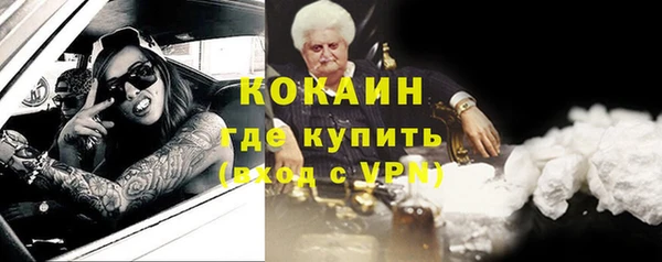 прущие грибы Новозыбков