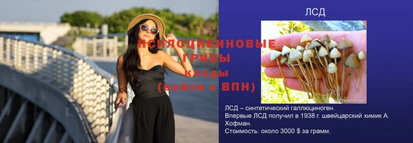 сатива Няндома