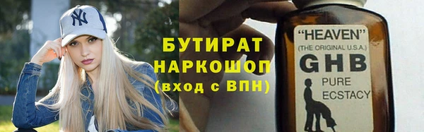 прущие грибы Новозыбков