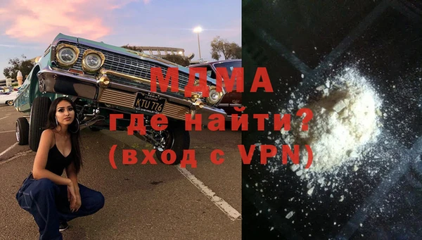 прущие грибы Новозыбков