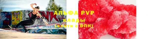 сатива Няндома