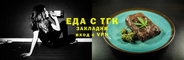 прущие грибы Новозыбков