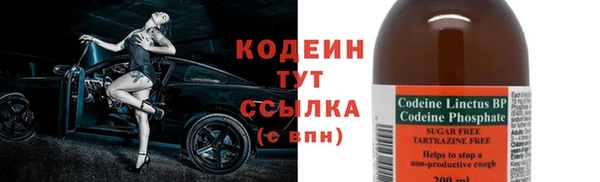 прущие грибы Новозыбков