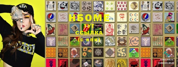 прущие грибы Новозыбков