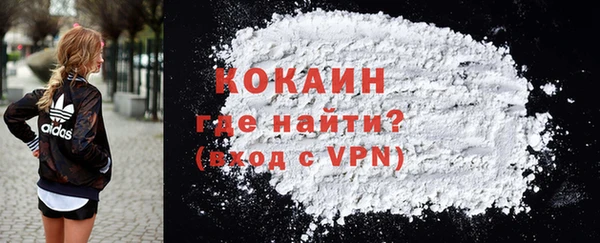 сатива Няндома