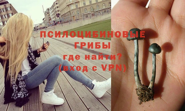 стафф Бронницы