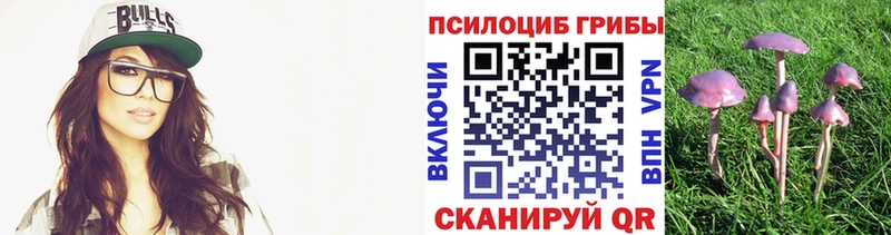 Псилоцибиновые грибы Cubensis  Бугуруслан 