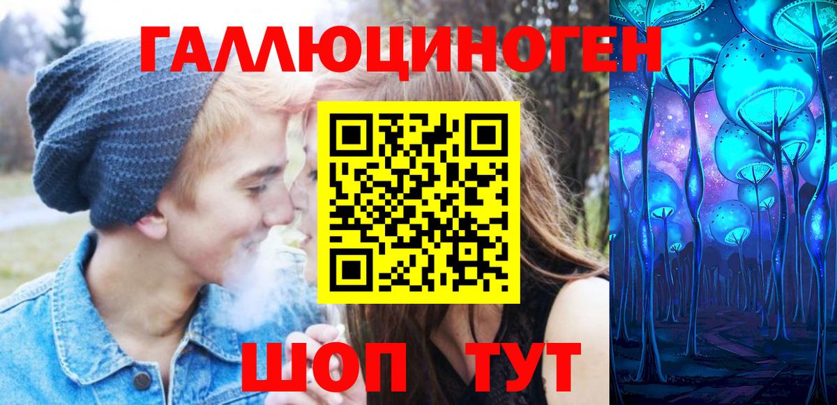 Галлюциногенные грибы Psilocybe Бугуруслан